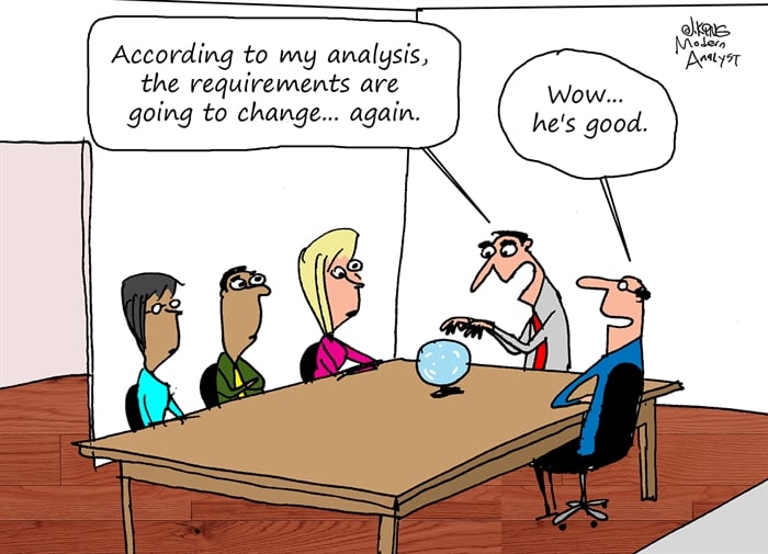 Humor - Cartoon: The Magic of Business Analysis Consultants